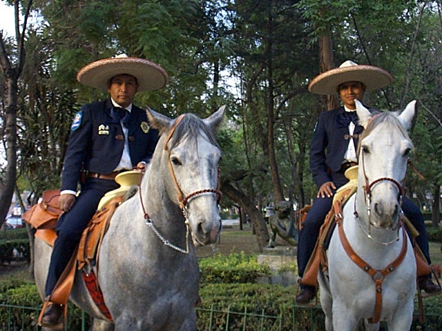 Berittene Polizei.jpg - mexico city, berittene polizei